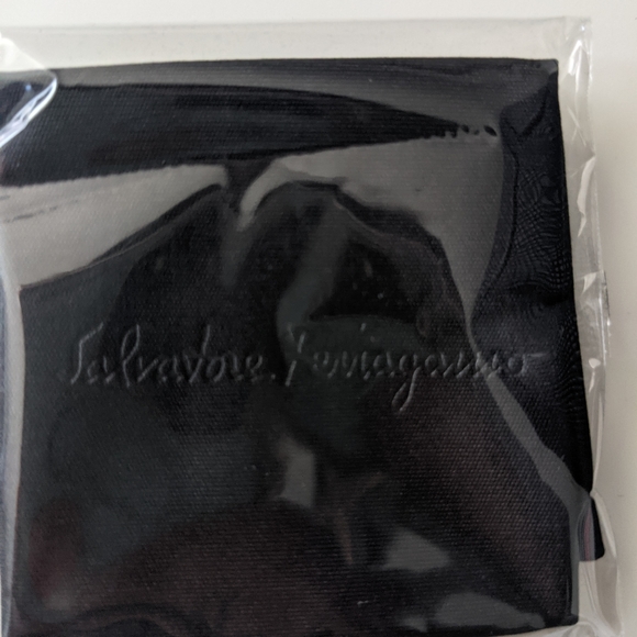 Ferragamo Sunglasses CASE - Picture 4 of 4